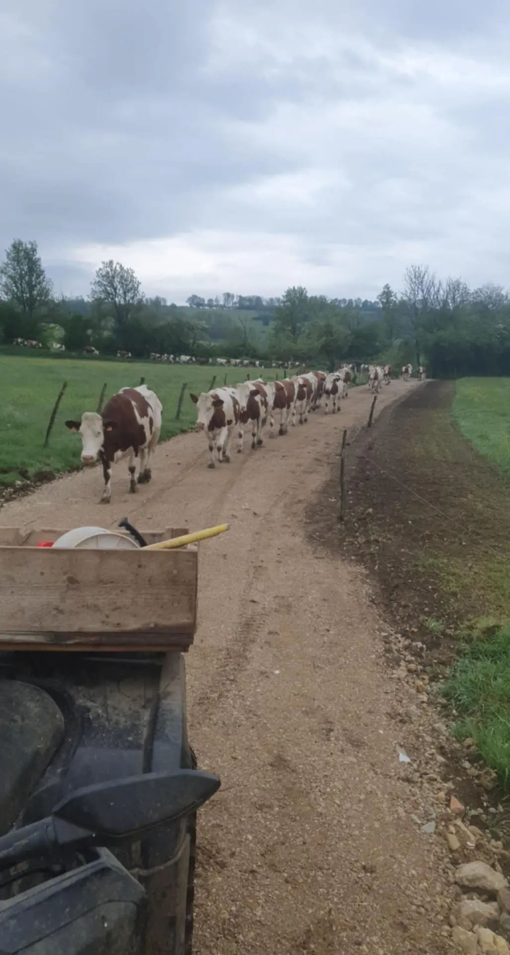 Bilan 2025 ferme ALPY