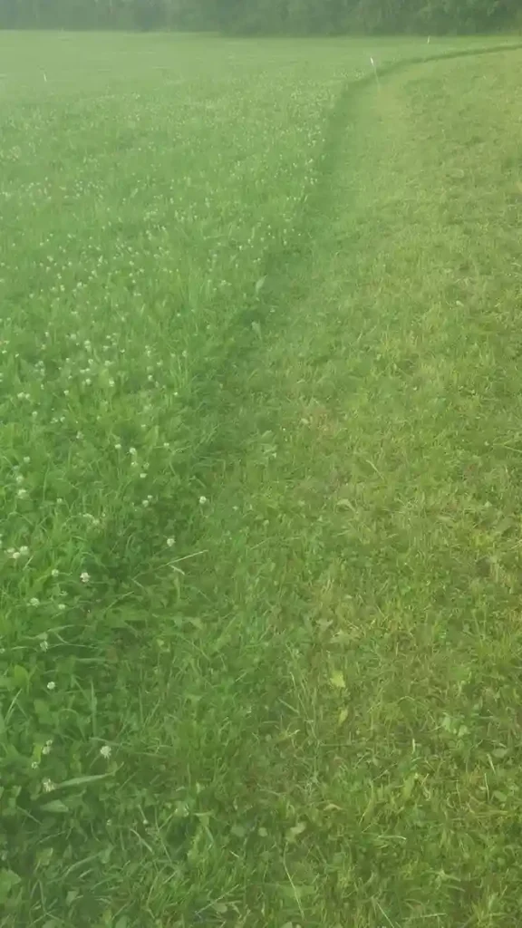 Bilan 2025 ferme ALPY