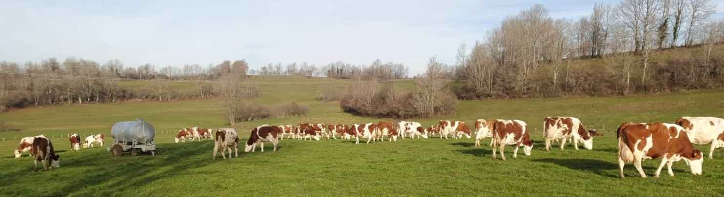 Bilan 2025 ferme ALPY