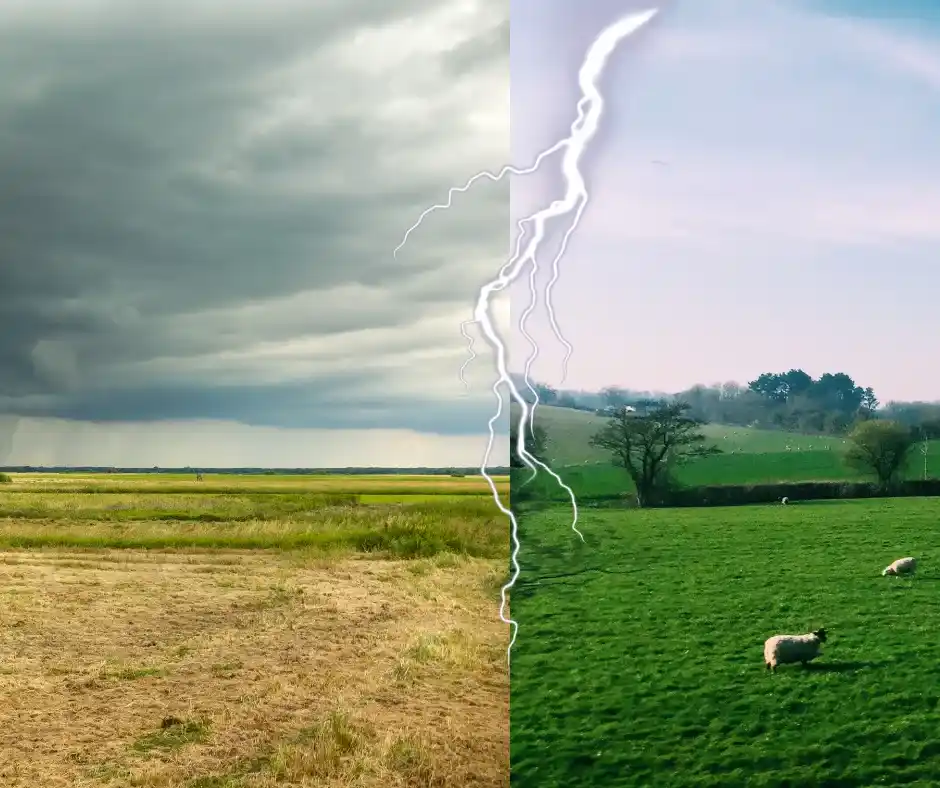 pâturage tournant dynamique, effet saison