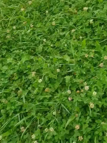 Bilan 2025 ferme ALPY