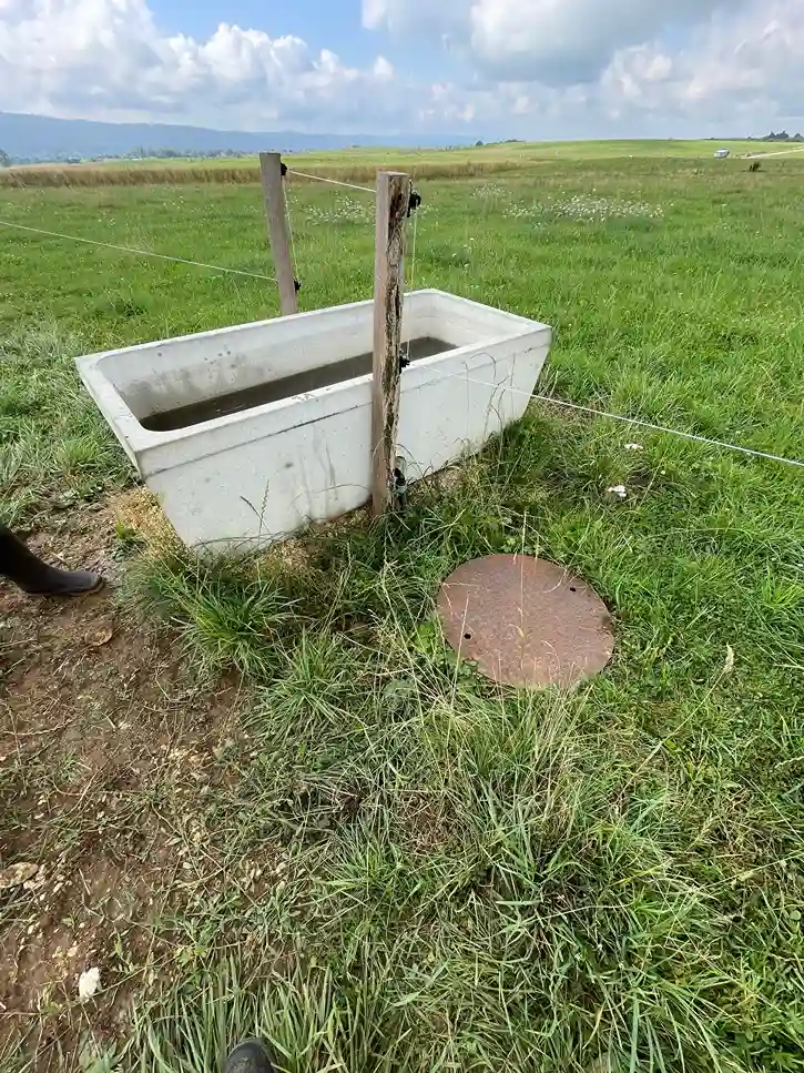 Bilan 2025 ferme des auges