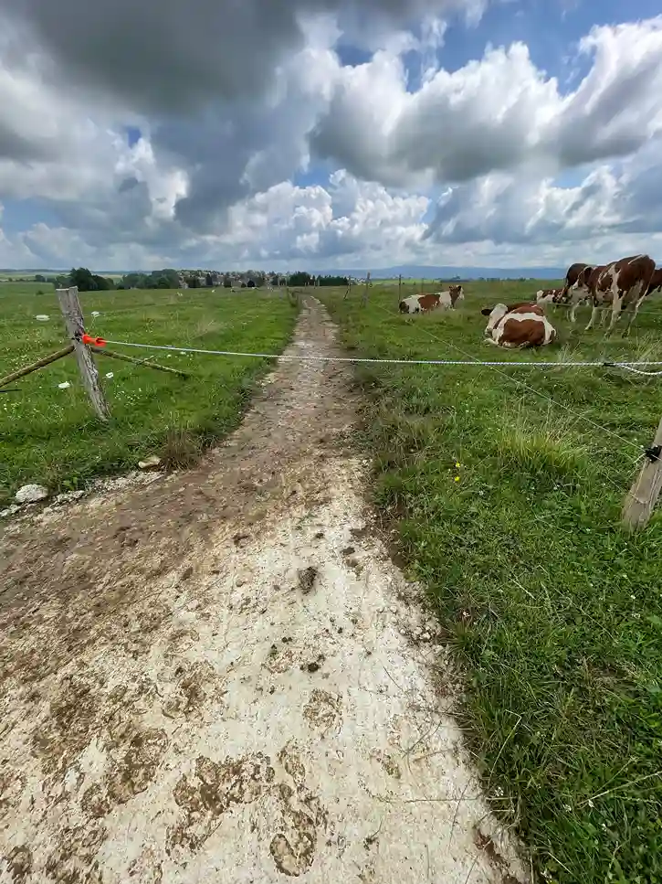 Bilan 2025 ferme des auges