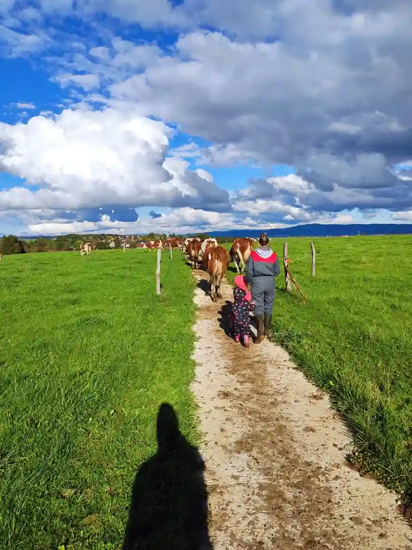 Bilan 2025 ferme des auges