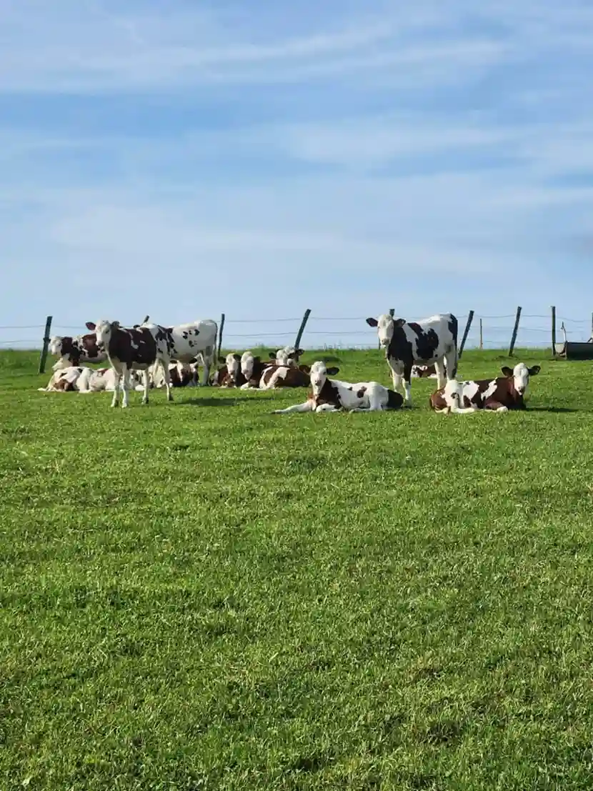 Bilan 2025 ferme des auges