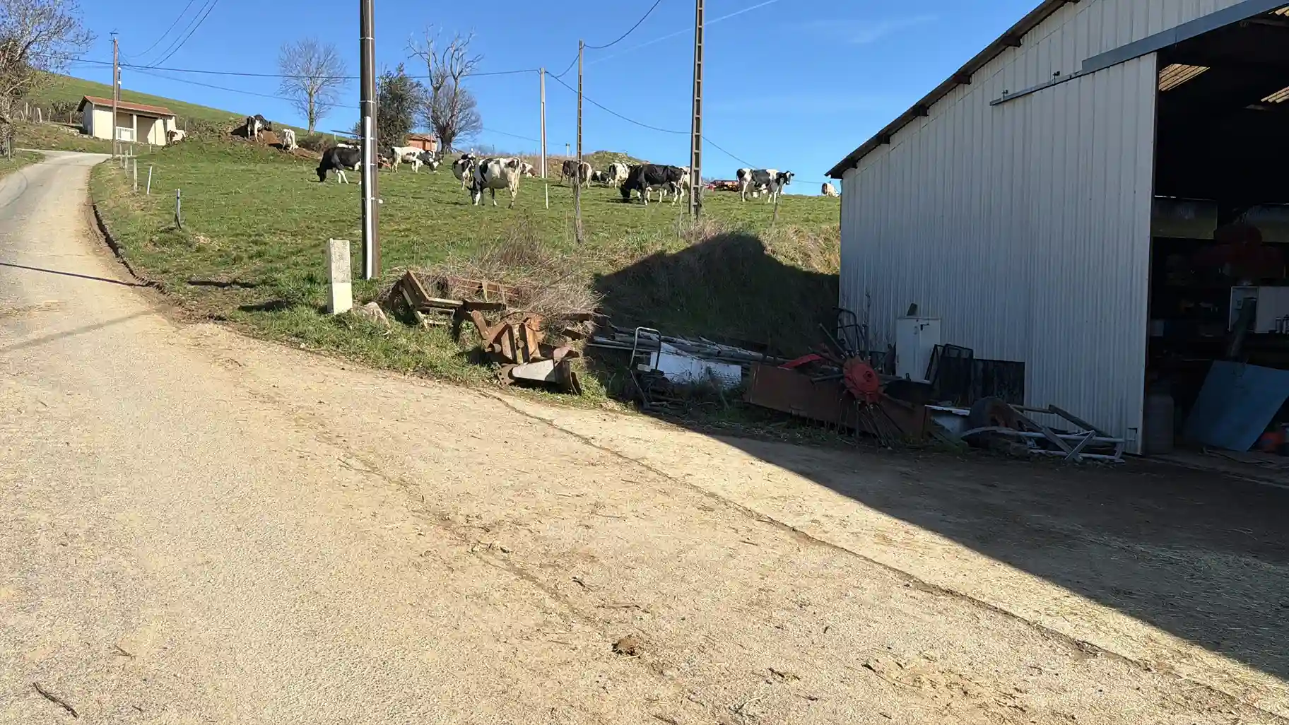 Mise à l'herbe difficile