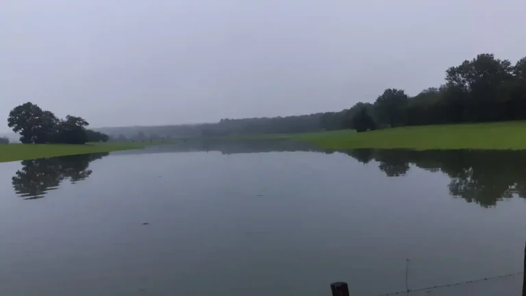 Mise à l'herbe difficile