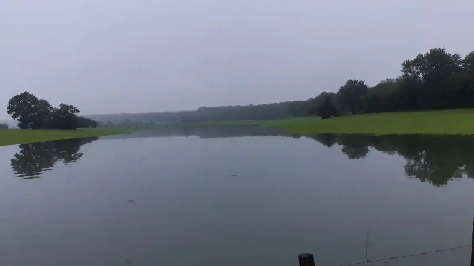 Mise à l'herbe difficile