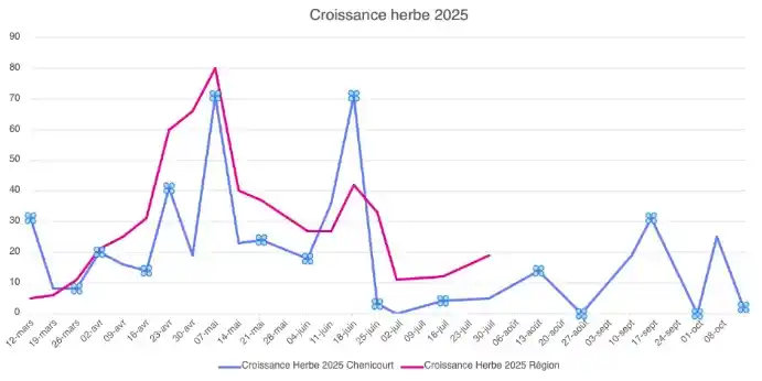 Bilan 2025 ferme de la forêt