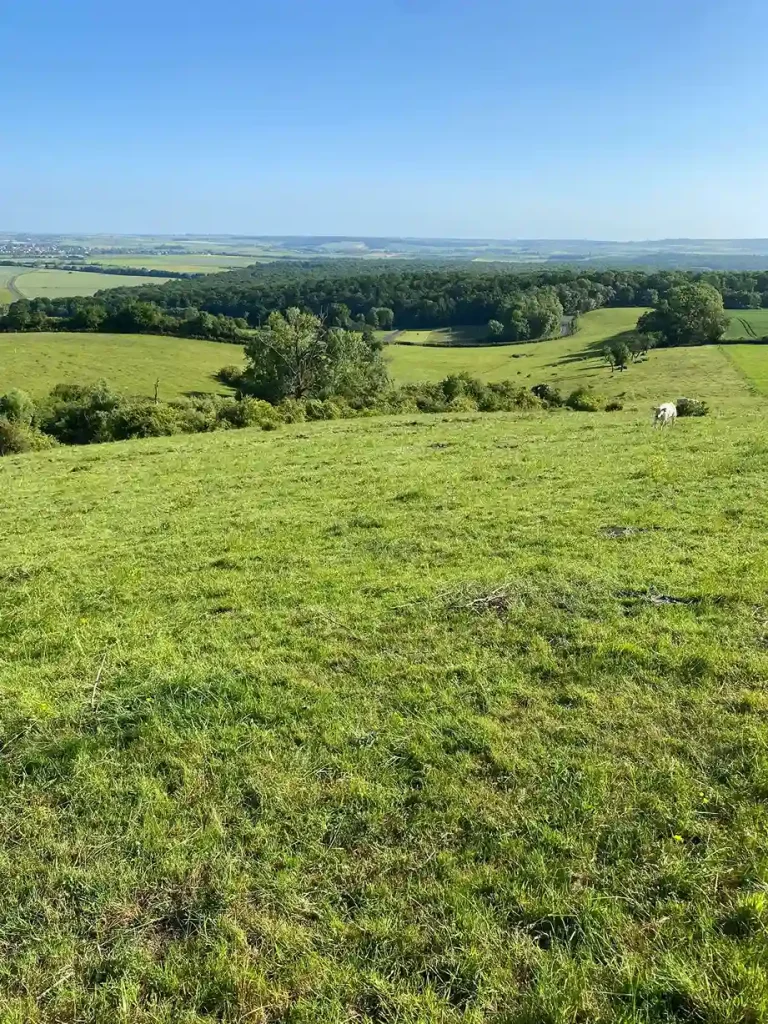 Bilan 2025 ferme de la forêt