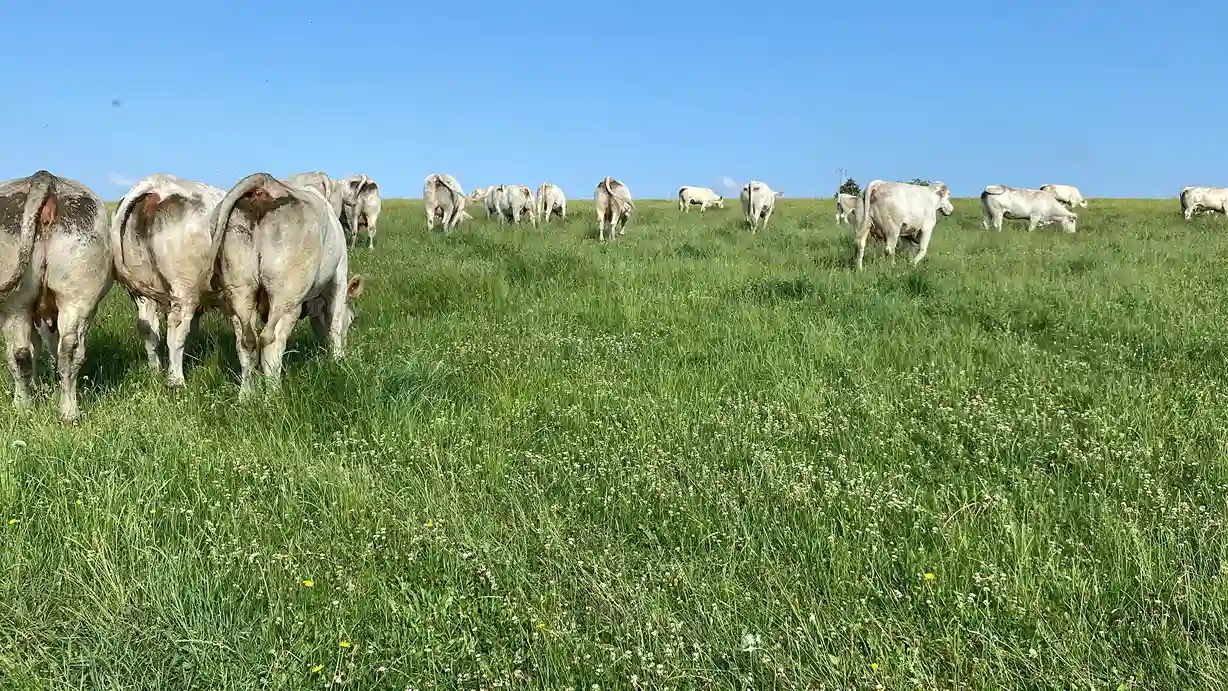 Bilan 2025 ferme de la forêt