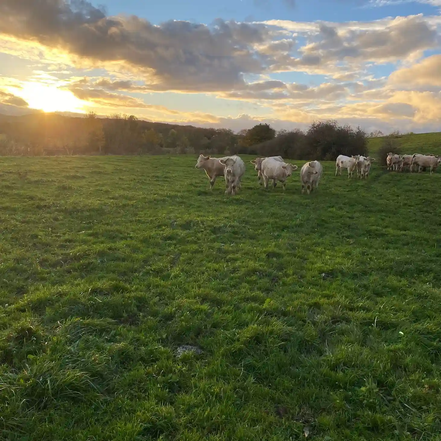 Bilan 2025 ferme de la forêt