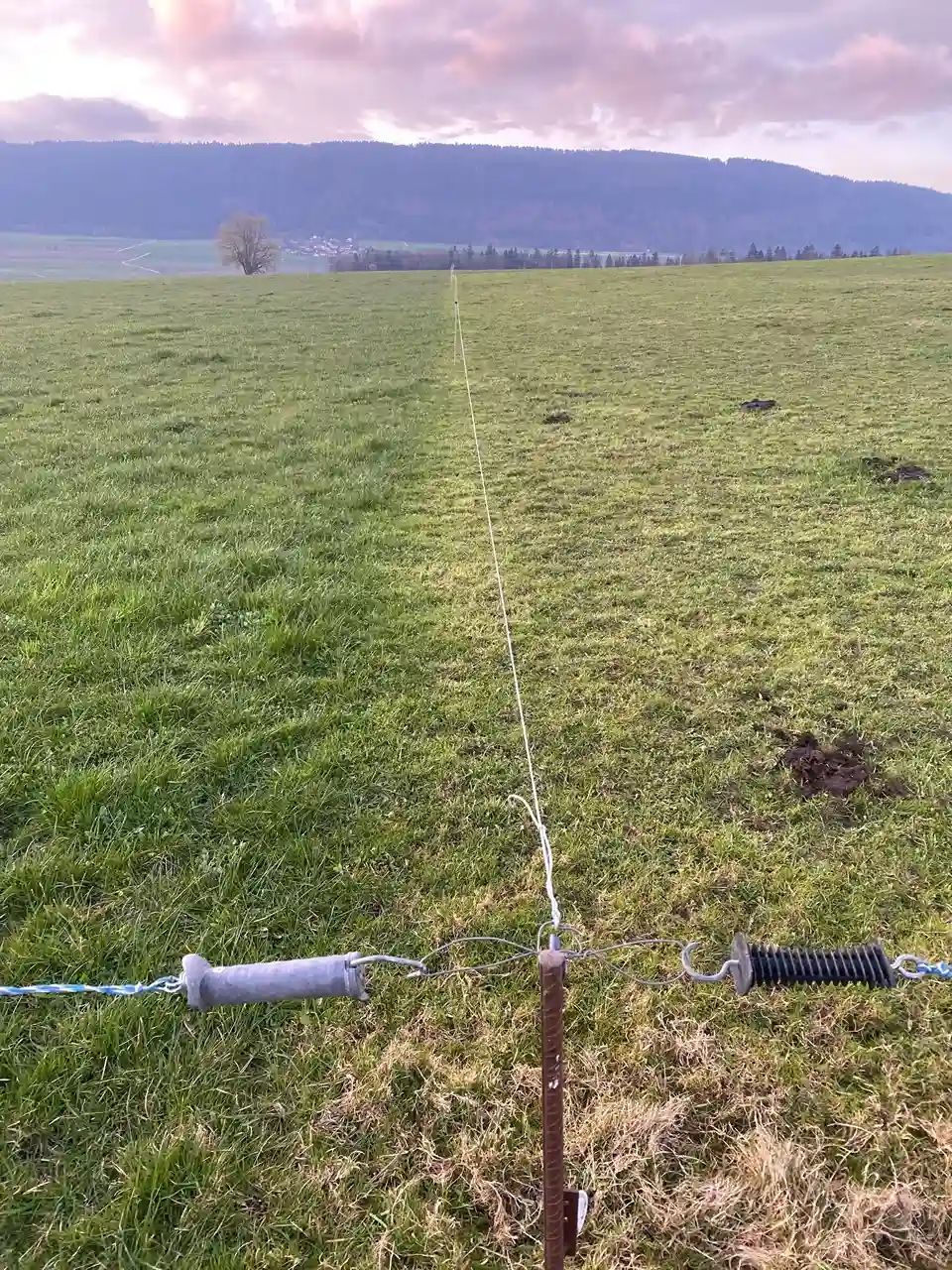 Résiduel de pâturage avant la neige