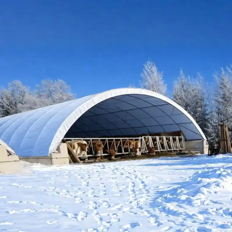 Retour des troupeaux en batiment à cause de la neige